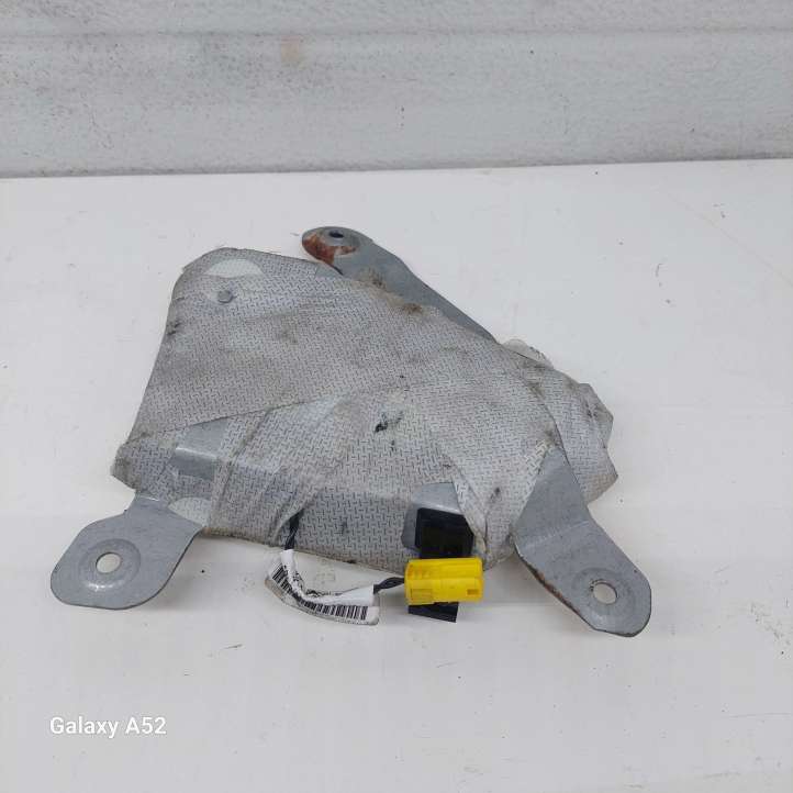 BMW 5 E39 (1996 - 2003)  30826833104G Подушка безопастности передней двери