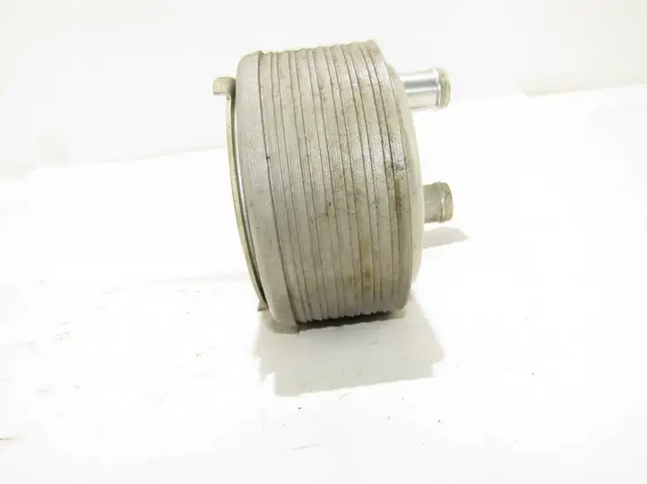 Ford Focus (2011 - 2015) Кронштейн масляного фильтра — фото 4