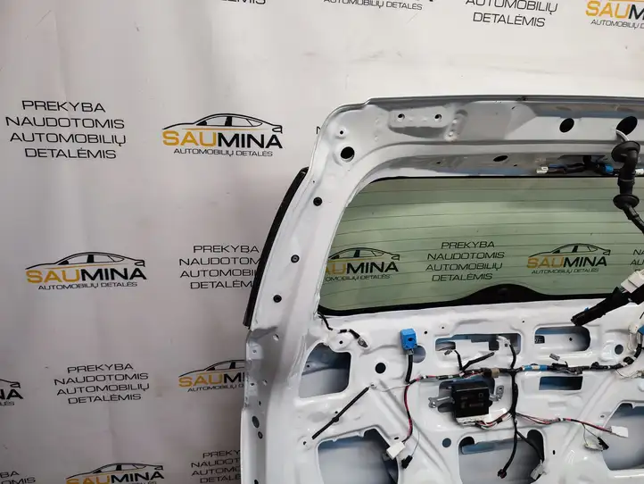 Toyota RAV 4 (XA40) (2012 - 2018) Крышка багажника — фото 14