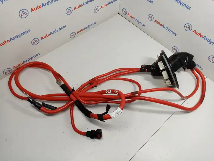 BMW X1 F48 F49 (2015 - 2022) 598162 Плюсовой провод аккумулятора — фото 1
