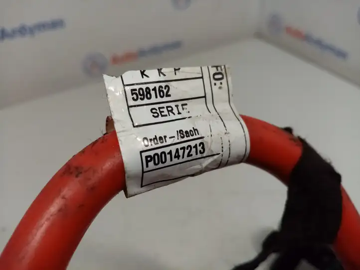 BMW X1 F48 F49 (2015 - 2022) 598162 Плюсовой провод аккумулятора — фото 6