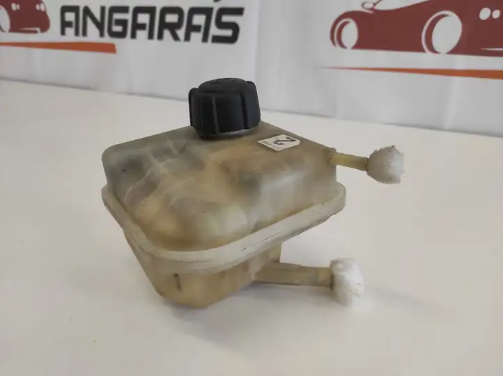 Nissan Qashqai (2006 - 2010) 21711JD20B Расширительный бачок — фото 4