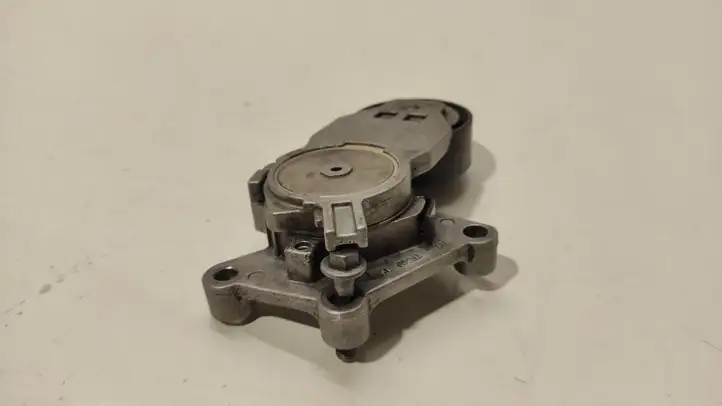 Ford Focus (2005 - 2008) 1FL2TF049 Натяжитель ремня — фото 2