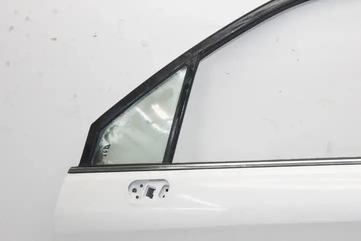 Subaru Forester SJ (2013 - 2018) Дверь — фото 8