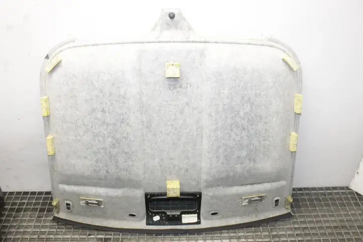 Audi TT TTS Mk2 (2006 - 2010) Потолочная обшивка — фото 2