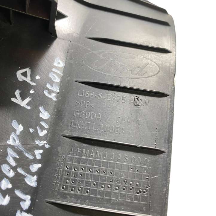 Ford Escape IV (2020 - )  LJ6BS42325ADW Боковая отделка (у окна)