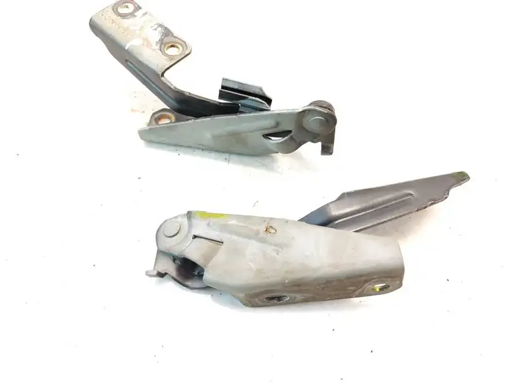 Ford Focus (1998 - 2004) XS4116800AE Петли капота — фото 1