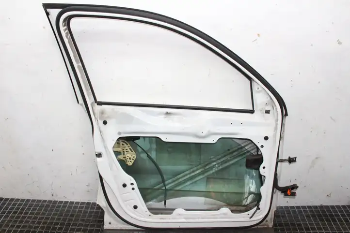 Volkswagen Tiguan (2007 - 2011) Дверь — фото 4
