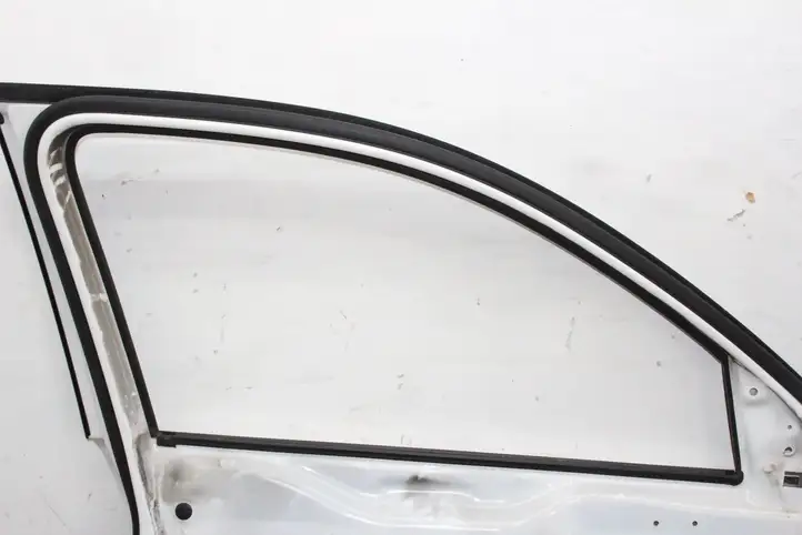 Volkswagen Tiguan (2007 - 2011) Дверь — фото 5