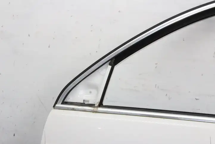 Volkswagen Tiguan (2007 - 2011) Дверь — фото 8