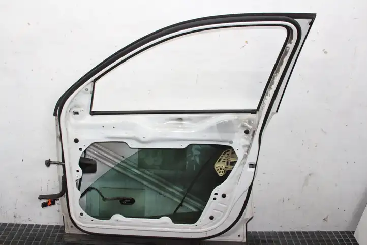 Volkswagen Tiguan (2007 - 2011) Дверь — фото 3