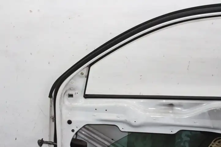 Volkswagen Tiguan (2007 - 2011) Дверь — фото 5