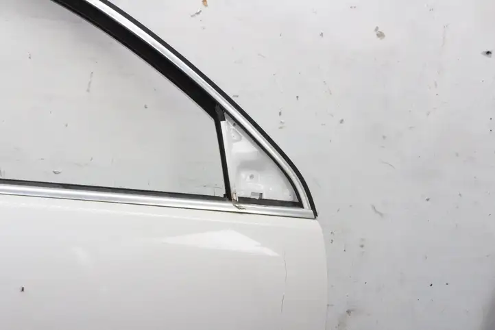 Volkswagen Tiguan (2007 - 2011) Дверь — фото 8