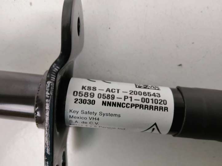 Tesla Model S (2021 - )  KSSACT2006543 Подушка безопастности пешеходов