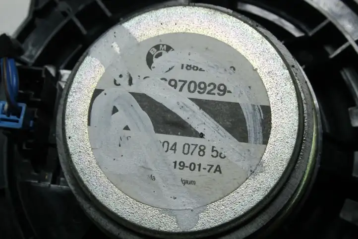 BMW 3 E90 E91 (2005 - 2012) 6970929 Динамики задних дверей — фото 3