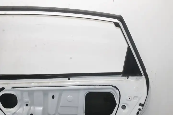 Toyota Prius+ (ZVW40) (2011 - 2018) Задняя дверь — фото 4
