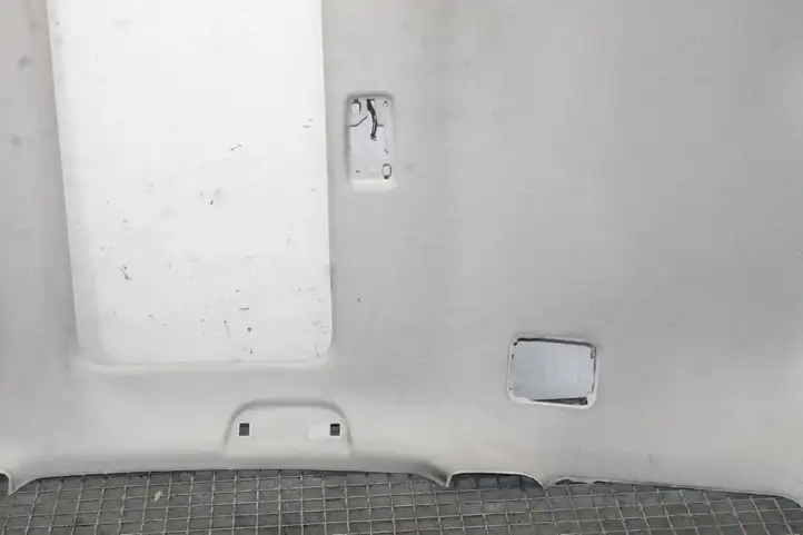 Toyota Prius+ (ZVW40) (2011 - 2018) Потолочная обшивка — фото 13