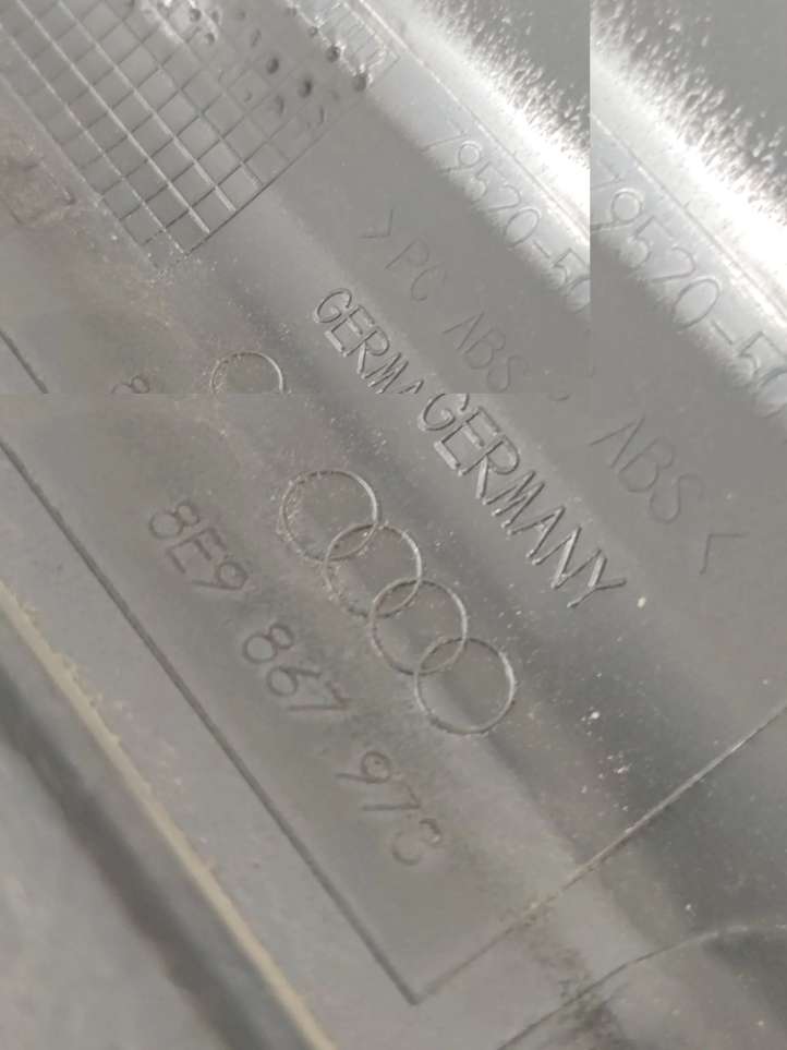 Audi A4 (2000 - 2006)  8E9867973 Верхняя отделка (у окна)