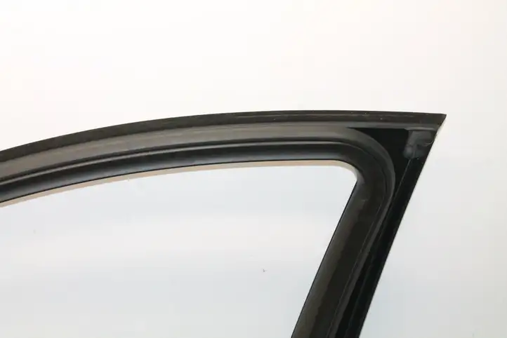 Opel Insignia A (2008 - 2017) Дверь — фото 2