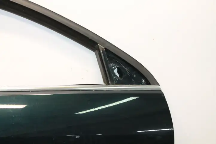 Opel Insignia A (2008 - 2017) Дверь — фото 6