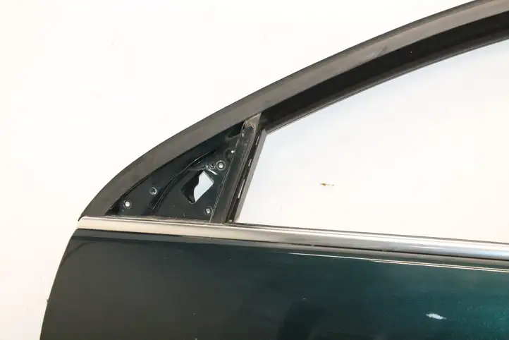 Opel Insignia A (2008 - 2017) Дверь — фото 4