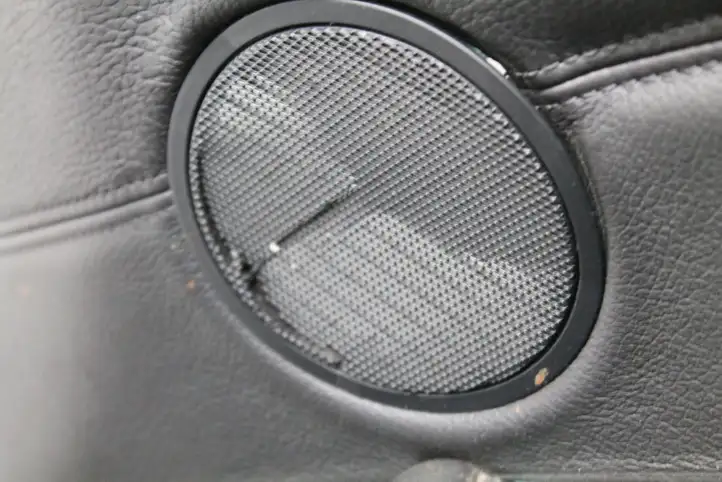 BMW X5 E70 (2006 - 2013) Обшивка передней двери — фото 7