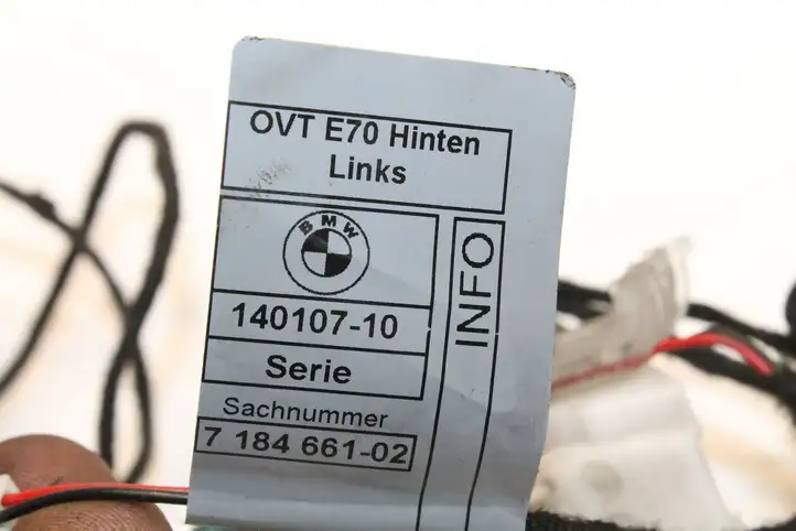 BMW X5 E70 (2006 - 2013) Подсветка ручки задней двери — фото 7
