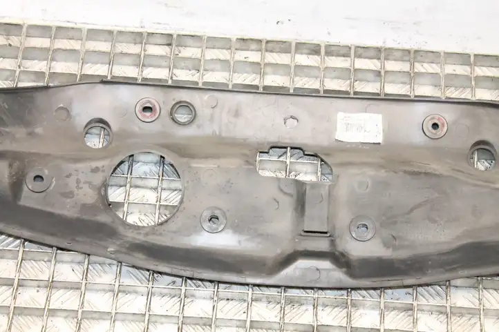 Honda Civic (2006 - 2011) 71125SMGE020 Облицовка радиатора — фото 2