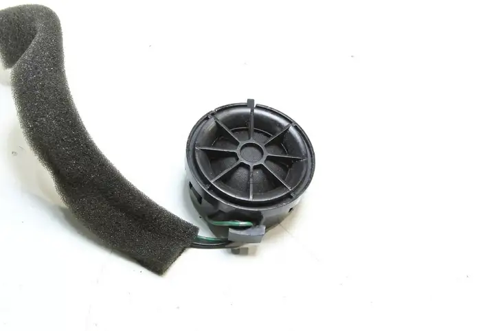 Land Rover Range Rover Sport L494 (2009 - 2013) XQN500020 Динамики задних дверей — фото 3