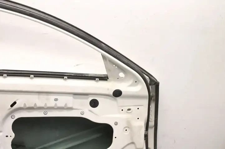 Jaguar XF X250 (2007 - 2015) Дверь — фото 4