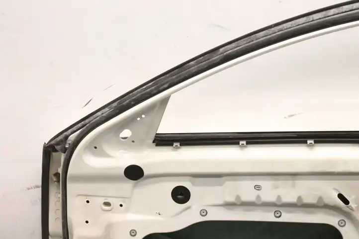 Jaguar XF X250 (2007 - 2015) Дверь — фото 2