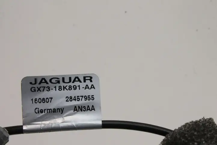 Jaguar XE (2014 - 2019) GX7318K891AA Усилитель антенны — фото 3
