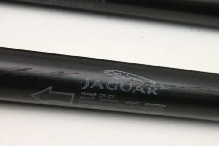Jaguar XE (2014 - 2019) GX7316C826AB Газовый упор капота — фото 5