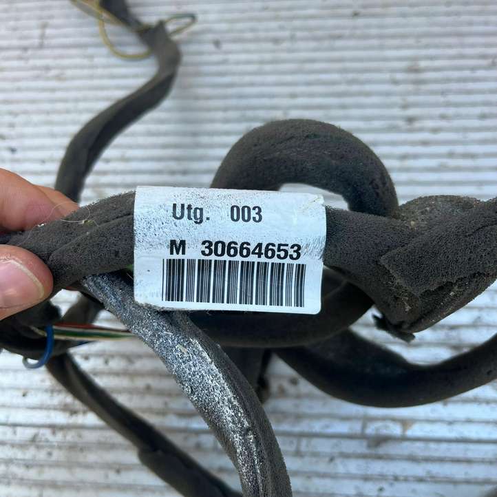 Volvo V70 (2000 - 2004)  30660377 Розетка для прицепа (штепсельное гнездо)