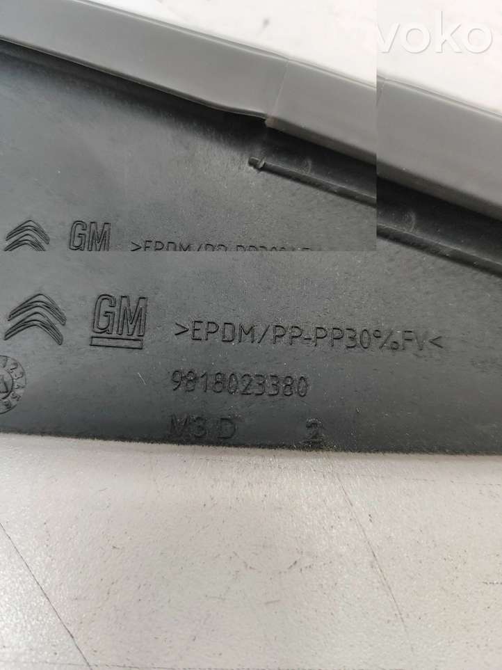 Citroen Berlingo (2018 - )  9818023380 Уплотнительная резина стекла передней двери
