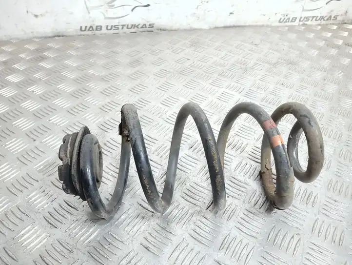Nissan Qashqai (2006 - 2010) Пружина задней подвески — фото 1