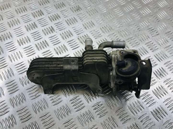 Volkswagen Golf V (2003 - 2009)  038131513 Охладитель EGR