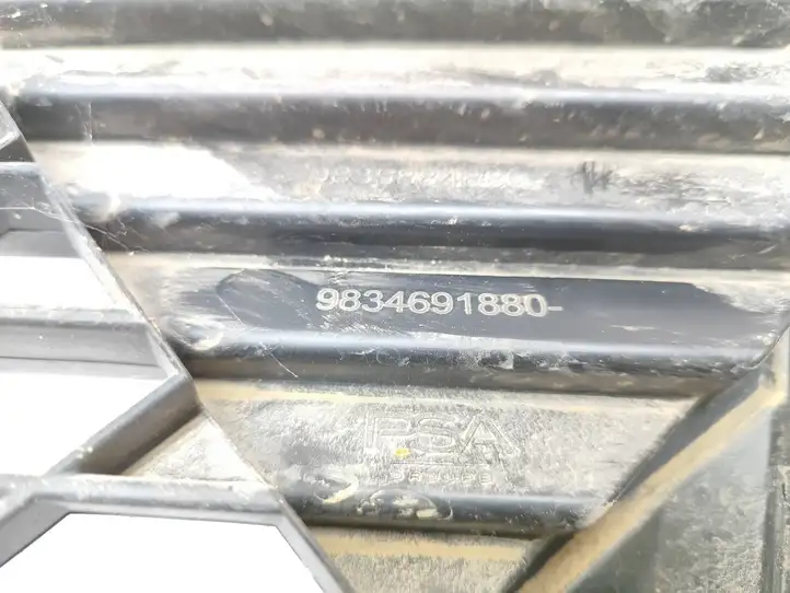 Citroen C3 (2009 - 2013) 9835884880 Нижняя решетка переднего бампера — фото 3