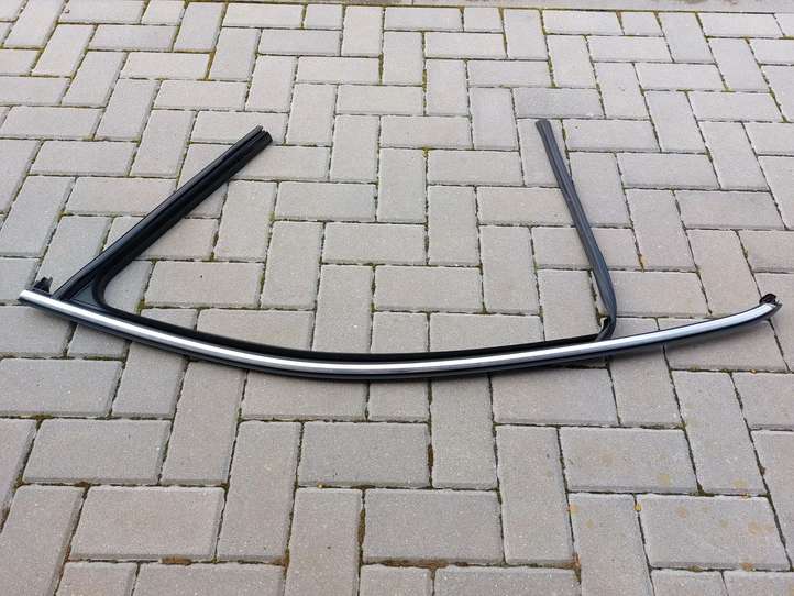 Volkswagen PASSAT B8 (2015 - )  3G0837431J Уплотнительная резина стекла передней двери