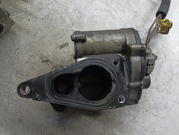 Renault Megane II (2006 - 2008) A2C53025930 Клапан EGR — фото 4