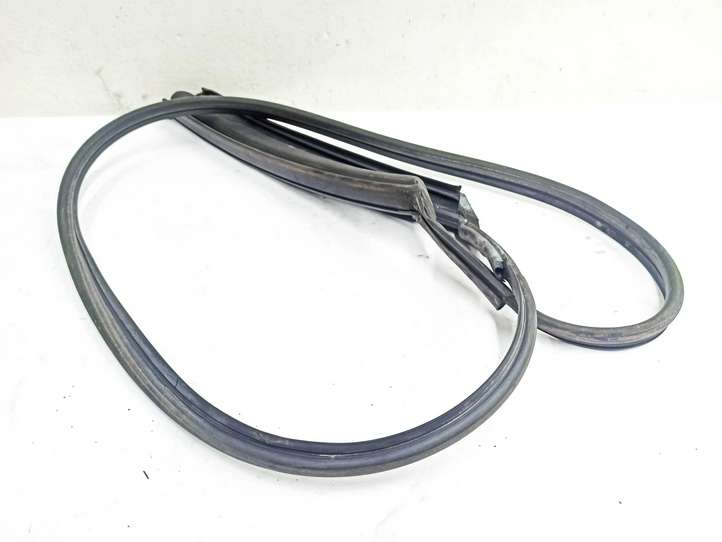 Mercedes-Benz CLK A209,C209 (2002 - 2009)  DAE01729 Резиновый уплотнитель люка