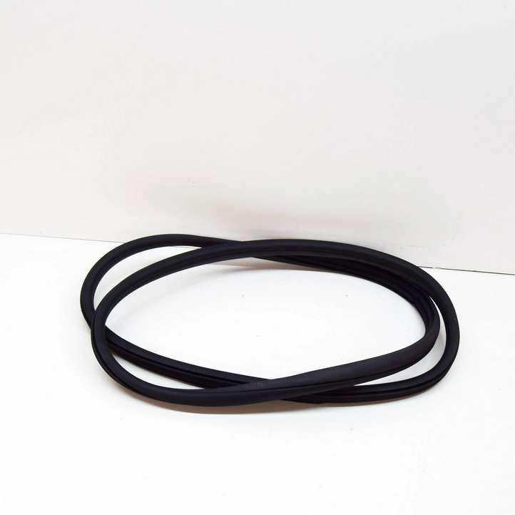 Mercedes-Benz C W205 (2014 - 2021)  A20569700519G44 Уплотнительная резина передней двери (на дверях)