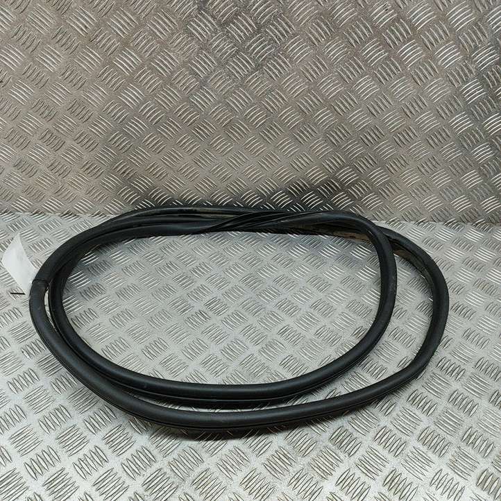 Genesis GV60 (2021 - )  82110CU000 Уплотнительная резина передней двери (на дверях)