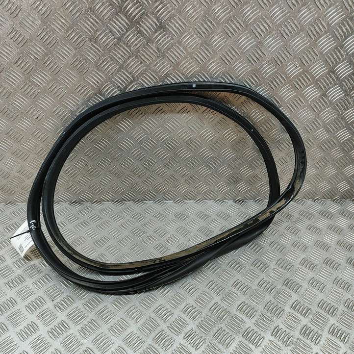 Genesis GV60 (2021 - )  82110CU000 Уплотнительная резина передней двери (на дверях)