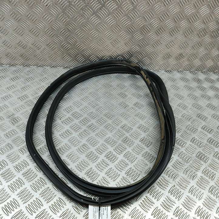 Genesis GV60 (2021 - )  82110CU000 Уплотнительная резина передней двери (на дверях)