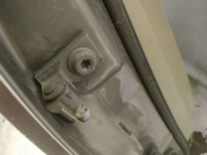 Audi A6 (2004 - 2008)   Нижняя петля задней двери