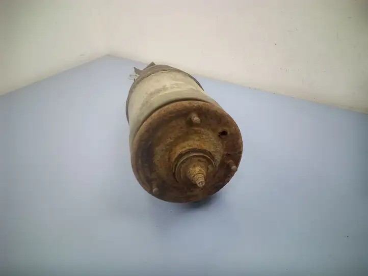 Land Rover Discovery 4 - LR4 (2013 - 2016) 22275473 Задний амортизатор (пневмоподвеска) — фото 5