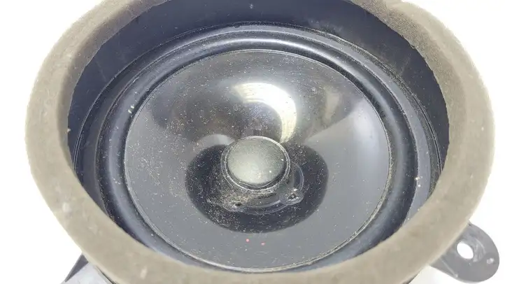 Subaru Forester SH (2008 - 2013) 86301FG102 Динамики задних дверей — фото 3