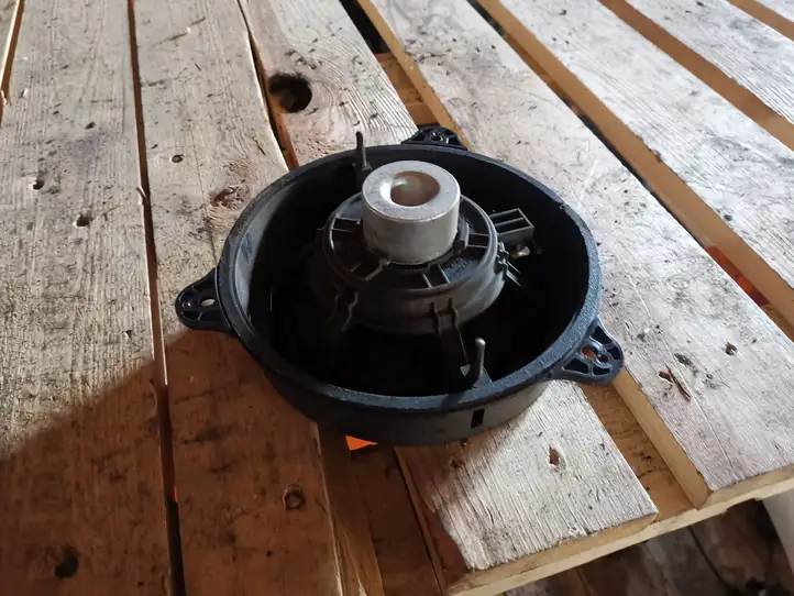 Renault Laguna III (2007 - 2015) Динамики задних дверей — фото 2
