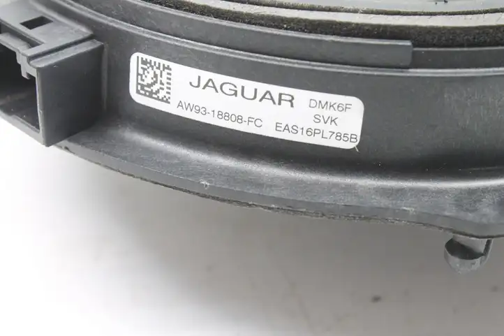 Jaguar XF X250 (2007 - 2015) AW9318808FC Динамики задних дверей — фото 5